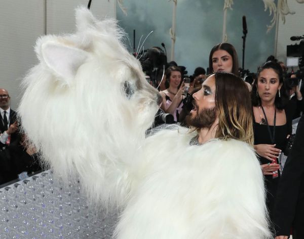 Met Gala Cat People