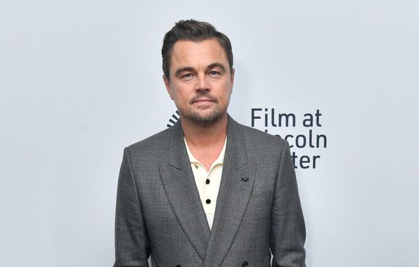 Social Media Leo